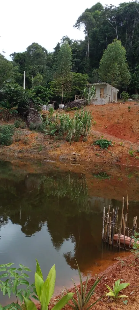 Terreno 34.000m² em Ibiraçu com Nascente